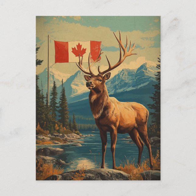 Vintage White-tailed deer in Canada Postcard (Front)