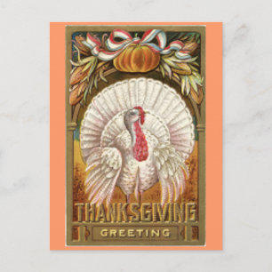 Vintage White Thanksgiving Turkey Holiday Postcard