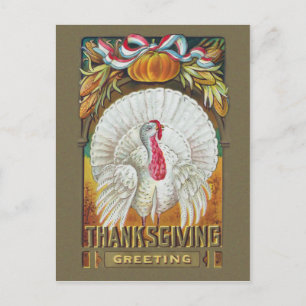 Vintage White Turkey and Thanksgiving Greeting Postcard
