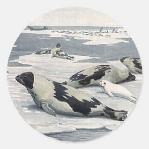 Vintage Wild Animals, Artic Harbour Seals Icebergs