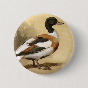 Vintage Wild Animals Birds, Mallard Duck 6 Cm Round Badge