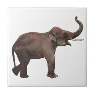 Vintage Wild Animals, Good Luck Asian Elephants Tile