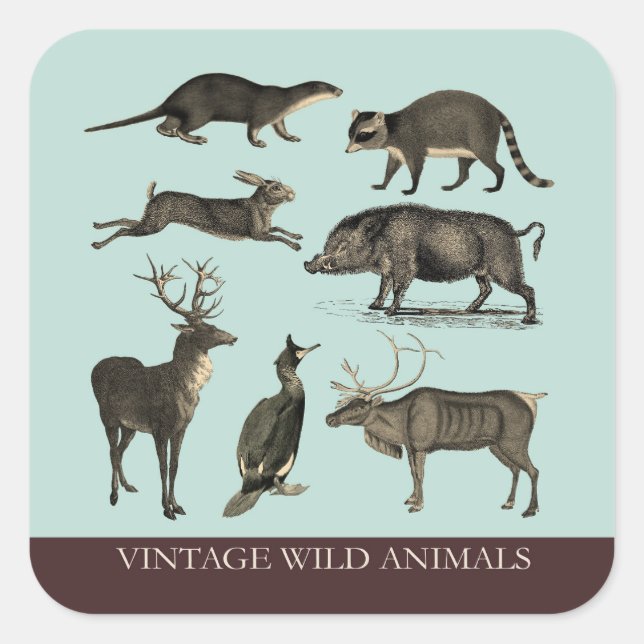 Vintage Wild Animals Sticker (Front)