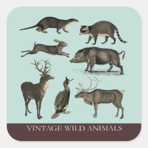 Vintage Wild Animals Sticker