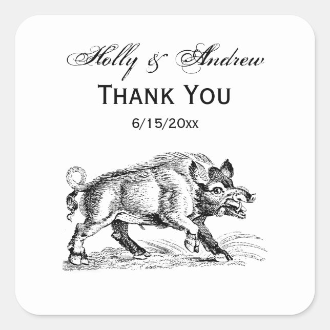 Vintage Wild Boar Drawing BW #2 Square Sticker (Front)