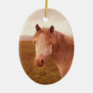 Vintage wild horse ceramic ornament
