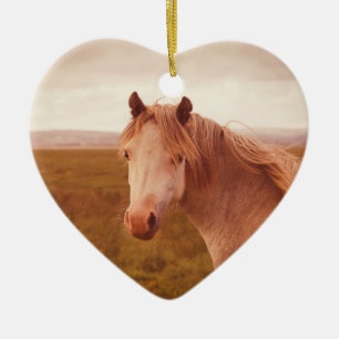 Vintage wild horse ceramic ornament