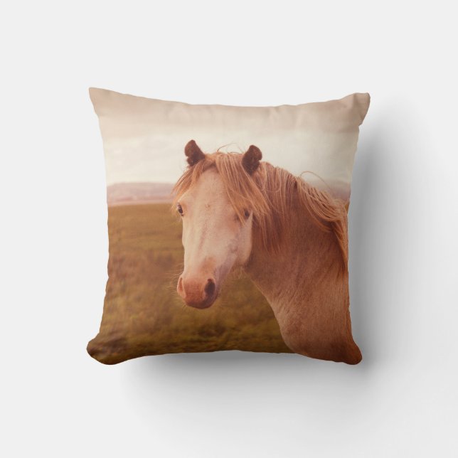 Vintage wild horse cushion (Front)