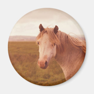 Vintage wild horse magnet
