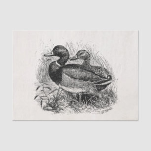 Vintage Wild Mallard Ducks Personalised Template Tissue Paper