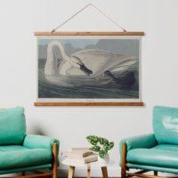 Vintage Wild White Trumpeter Swan