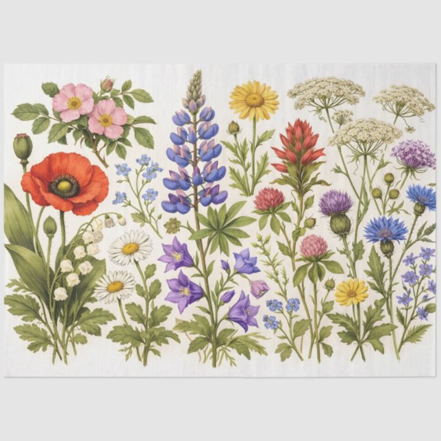 Vintage Wildflowers and Garden Flowers  Tissue Paper (Front)