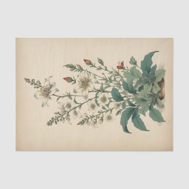 Vintage Wildflowers Print Tissue Paper (Front)
