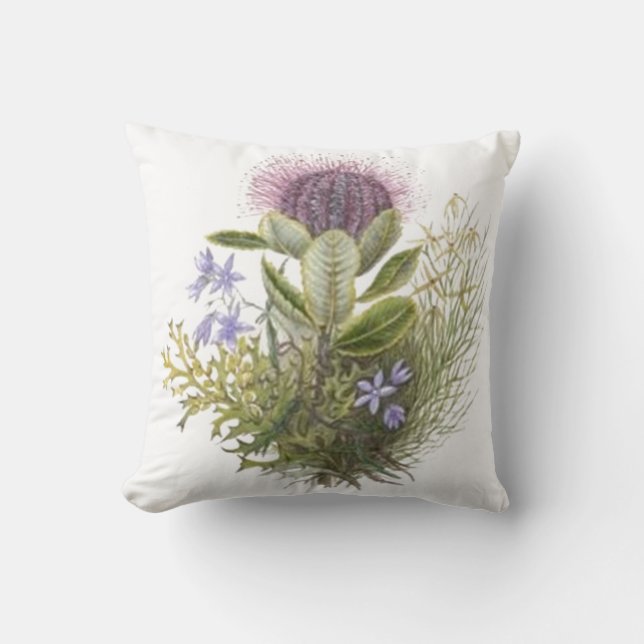 Vintage Wildflowers Thistle Pillows (Front)
