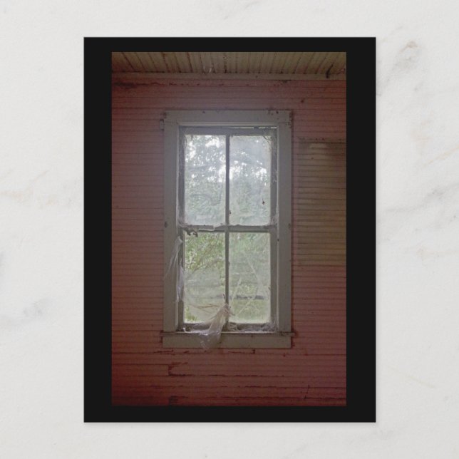 Vintage Window in Pink Postcard (Front)