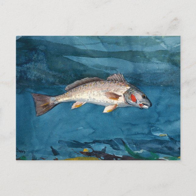 Vintage Winslow Homer Channel Bass Postcard (Front)