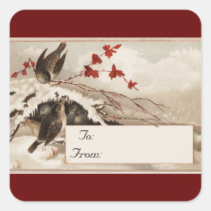 Vintage Winter Birds Square Stickers
