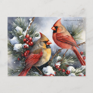 Vintage Winter Cardinal Birds Snowy Christmas Holiday Postcard