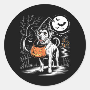 Vintage Witch Dog With Pumpkin Scary Dog Halloween Classic Round Sticker