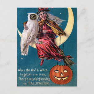 Vintage Witch pumpkin owl Halloween postcard