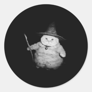 Vintage Wizard Cat Weird Funny Halloween Cat Meme  Classic Round Sticker