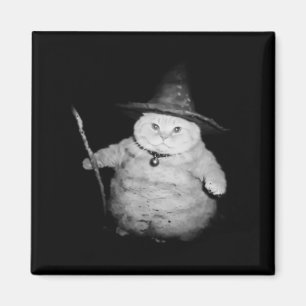 Vintage Wizard Cat Weird Funny Halloween Cat Meme  Magnet