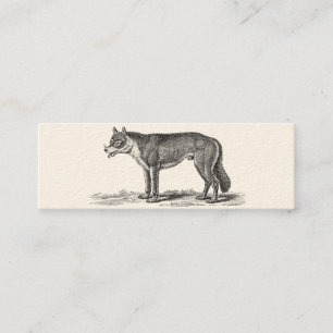 Vintage Wolf Illustration - 1800's Wolves Templat Mini Business Card