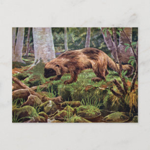 Vintage Wolverine Illustration Postcard