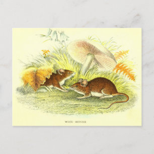 Vintage Wood-Mouse Illustration Postcard