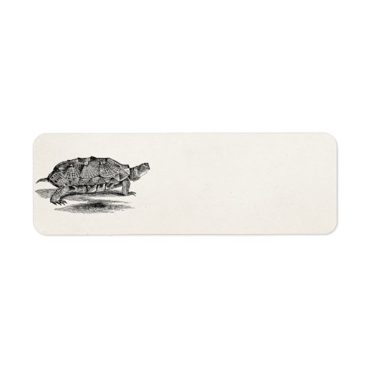 Vintage Wood Terrapin Turtle Template Blank Return Address Label