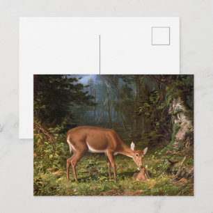 Vintage Woodland Doe and Baby Fawn Wildlife Art Postcard
