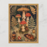 Vintage Woodland Mushrooms Autumn Greeting 