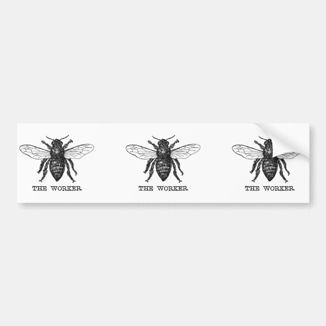Vintage Worker Bee Illustration Art Bumper Sticker (Front)