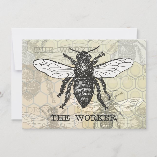 Vintage Worker Bee Illustration Art Invitation (Front)