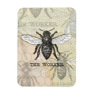 Vintage Worker Bee Illustration Art Magnet