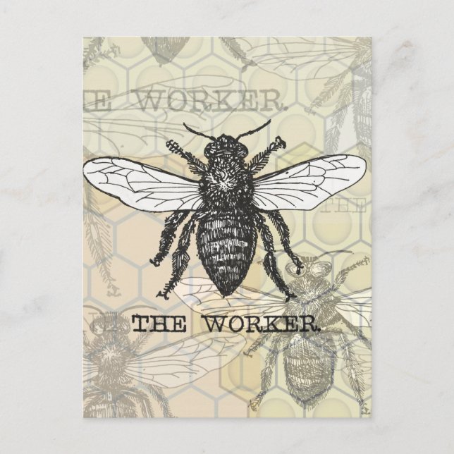 Vintage Worker Bee Illustration Art Postcard (Front)