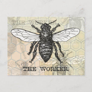 Vintage Worker Bee Illustration Art Postcard