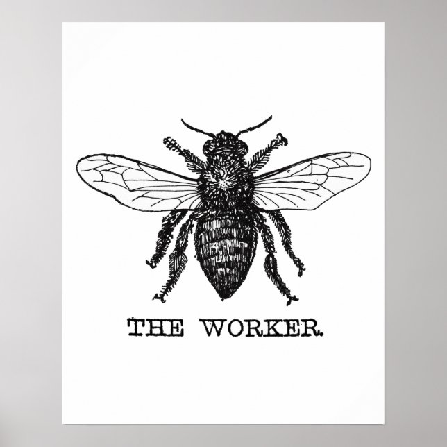 Vintage Worker Bee Illustration Art Poster (Front)