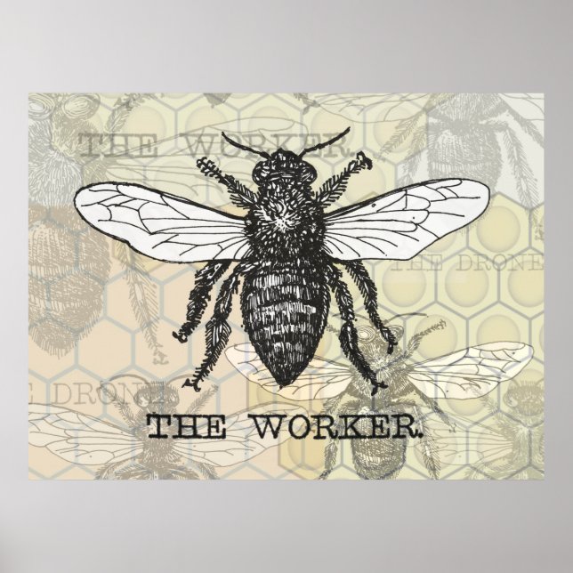 Vintage Worker Bee Illustration Art Poster (Front)