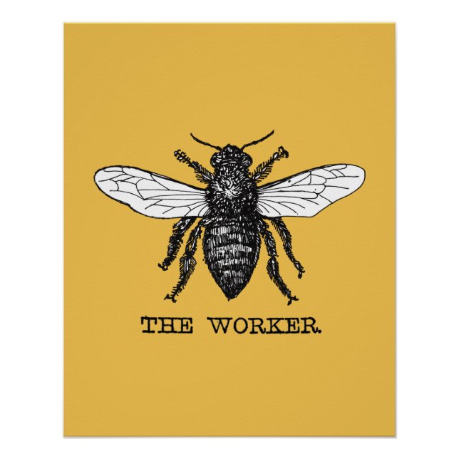 Vintage Worker Bee Illustration Art Poster (Front)