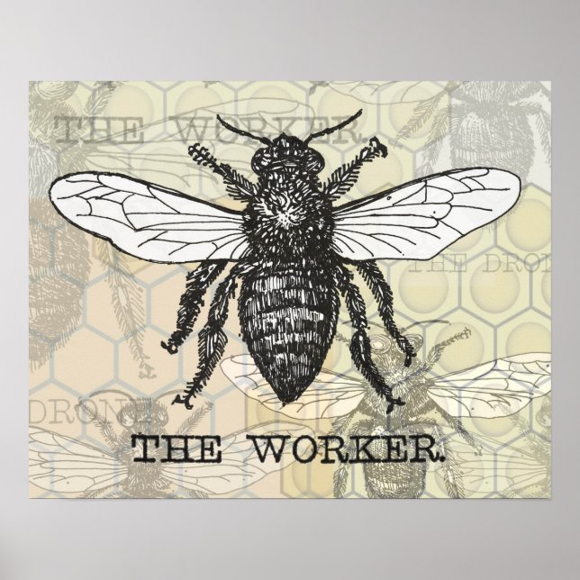 Vintage Worker Bee Illustration Art Poster (Front)