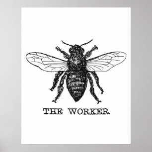 Vintage Worker Bee Illustration Poster
