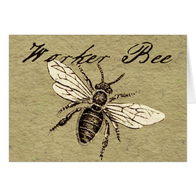 Vintage Worker Bee Insect Illustration Antique (Front Horizontal)