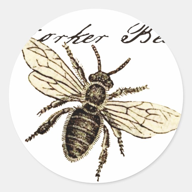 Vintage Worker Bee Insect Illustration Antique Classic Round Sticker (Front)