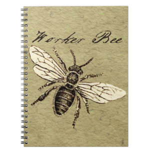 Vintage Worker Bee Insect Illustration Antique Notebook