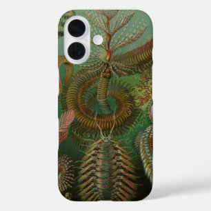Vintage Worms Annelids Chaetopoda by Ernst Haeckel iPhone 16 Case