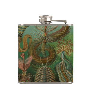 Vintage Worms Annelids Chaetopoda by Ernst Haeckel Hip Flask
