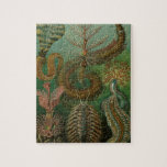 Vintage Worms Annelids Chaetopoda by Ernst Haeckel Jigsaw Puzzle<br><div class="desc">Sturdy cardboard stock puzzle with sizes ranging from 30 up to 1014 pieces!   
Vintage illustration nature marine life biology design by Ernst Haeckel. A variety of colorful animals,  segmented worms that live deep in the waters of the oceans.</div>