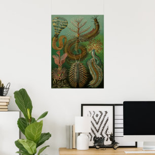 Vintage Worms Annelids Chaetopoda by Ernst Haeckel Poster