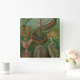 Vintage Worms Annelids Chaetopoda by Ernst Haeckel Square Wall Clock